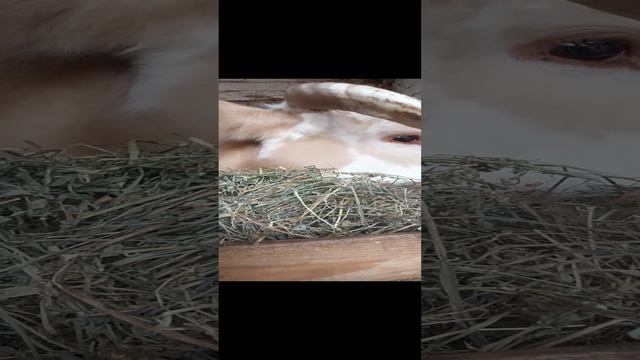 1000146619.mp4