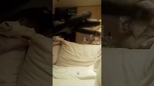 страшный дом квадробика врач с ножом часть 1