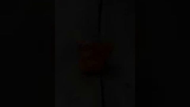 Бусины Для рукоделия 6 мм