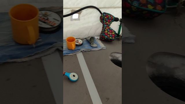 Как дома...