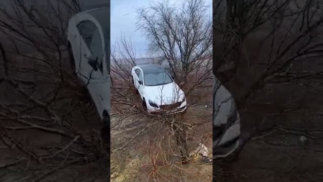Когда вопросов больше чем ответов  Главная Дорога 🔶