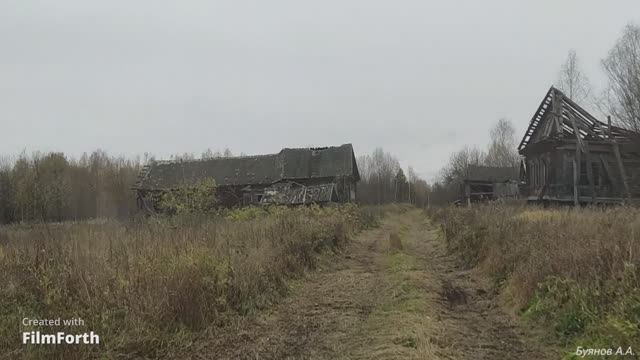 Александрово Макарьевский р-он.14/10/2023.