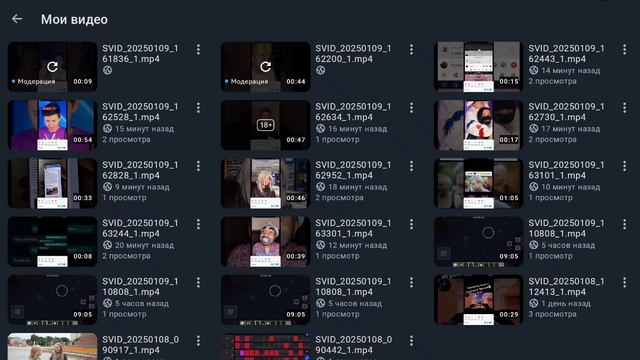 SVID_20250109_170435_1.mp4