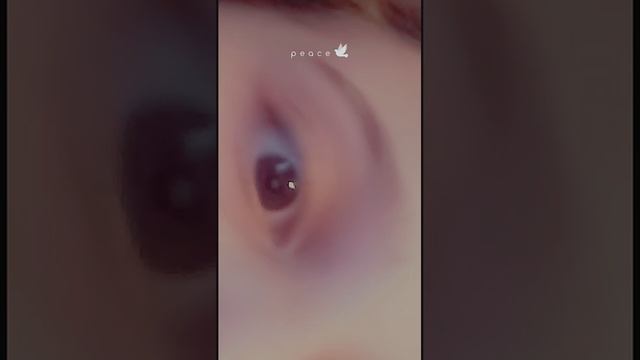 Snapchat-1446677774.mp4