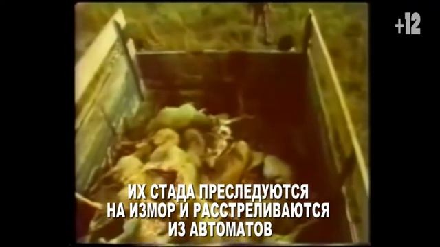 Буктрейлер МКОУ СОШ №4 10 класс