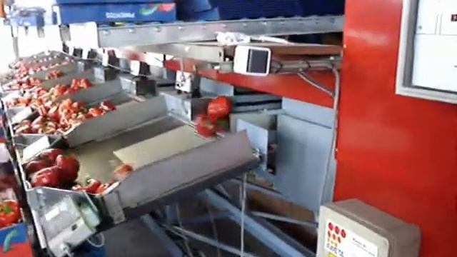 Groente paprika sorteermachine, Aweta G 2-6