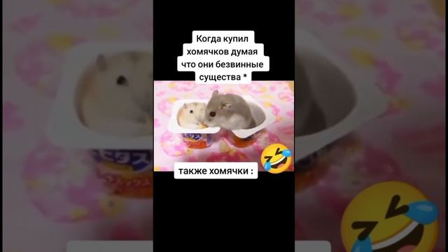 #мем