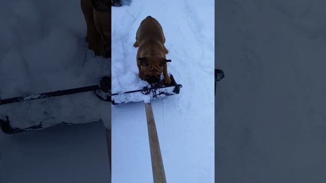 Сам себе подрядчик
