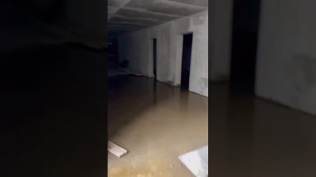 VID-20241208-WA0031.mp
Новогодняя сказка!