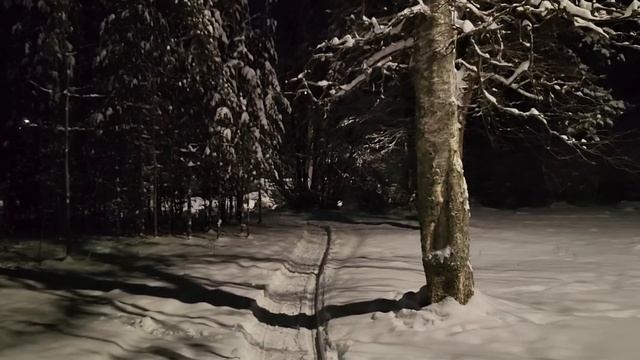 Рождество в семейном кругу, не считая собаки