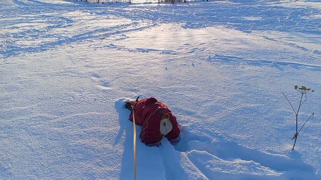 1000030639.mp4