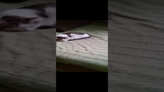 1000011008.mp4