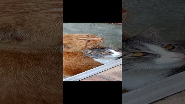 Отец и дочка.