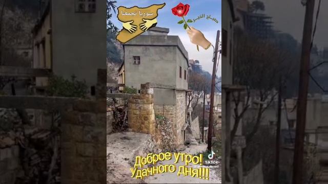 سوريا تجمعنا