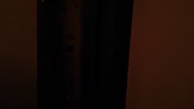 Электрический лифт V=0,71 м/с, грузоподъемность 320 кг (491)