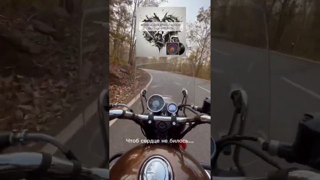 AnaSM - Так хочется сесть на байк и врезаться в стену (сниппет) #музыка #альбом #пролюбовь