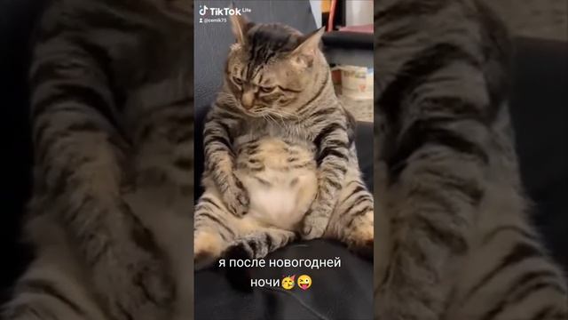 Я после новогодней ночи