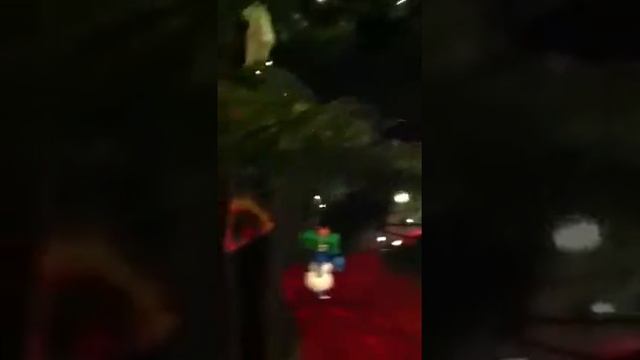 Украшаем дом!