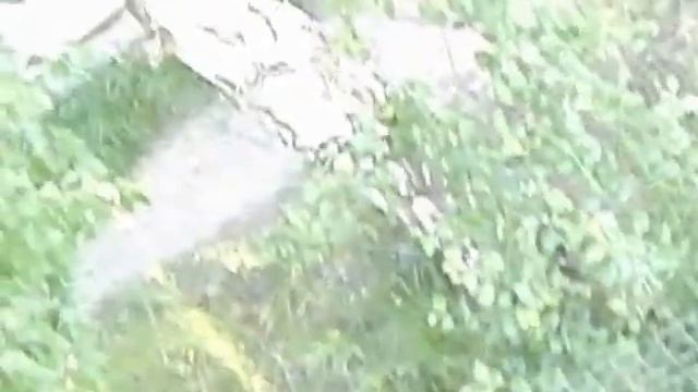 Как построить дом своими силами -4  Стропильная часть  Разметка и установка франтона