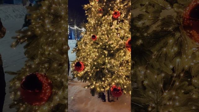 НОВОЕ ВИДЕО | КАМЧАТКА 2025