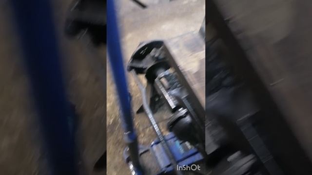 InShot_20250108_202945316.mp4