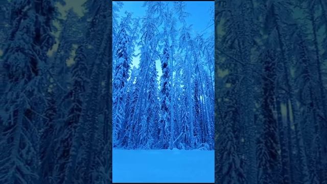 1000079551.mp4
