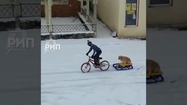 Дружба