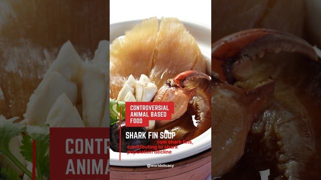 Shark Fin Soup Uncovered: A Culinary Delicacy Threatening the Oceans #shorts #viral #trending