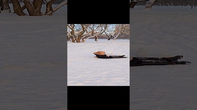 ЛедянаЯ горка.