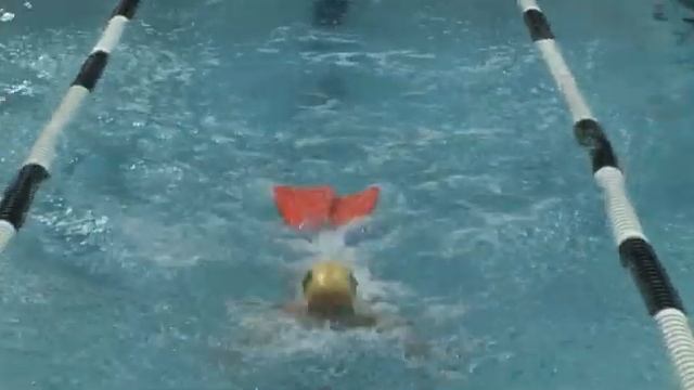 Explaining Butterfly Swimming