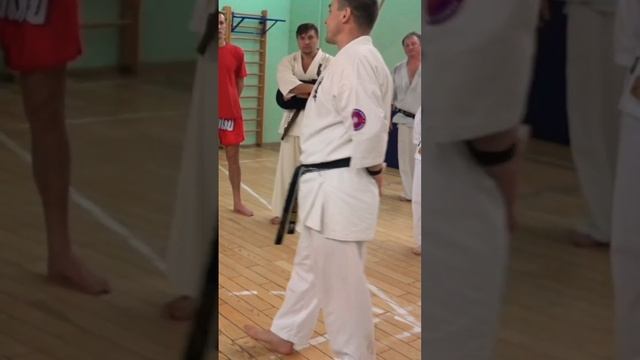 Кёкусинкай / Сихан Алексей Горохов / Проработка Маваси гэри-дзёдан на подушке-10 (2016)