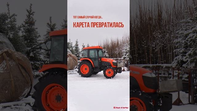 Врываемся в трудовые будни! Питомник ЁЛЫ-ПАЛЫ