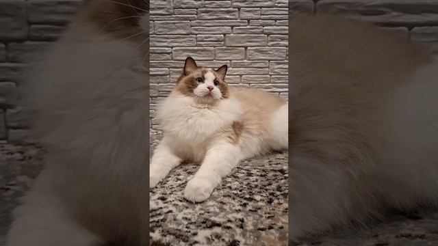 1000102902.mp4