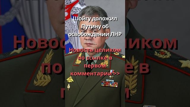 Шойгу освобождение