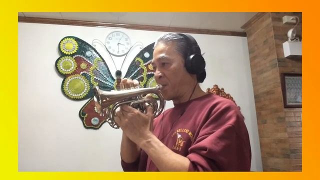 Feel so good - CHUCK MANGIONE (Pocket Trumpet cover)