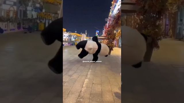 panda