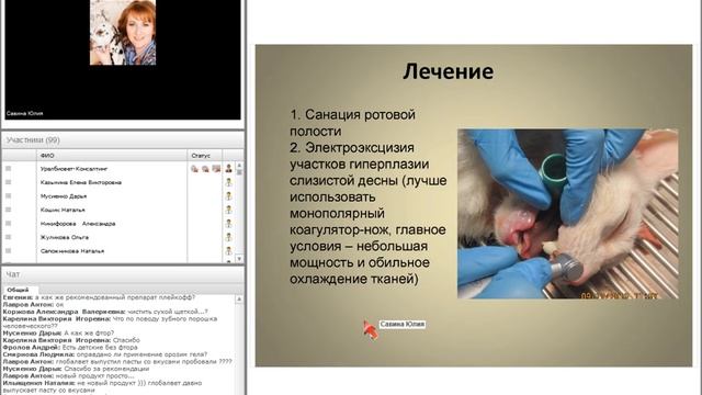 Гингивостоматиты кошек. Савина Юлия #убвк_стоматология