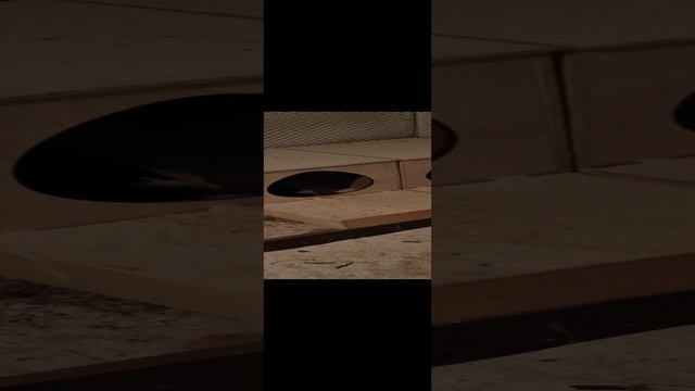 1000080891.mp4