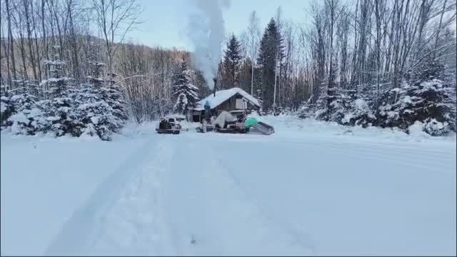 Новый год в тайге