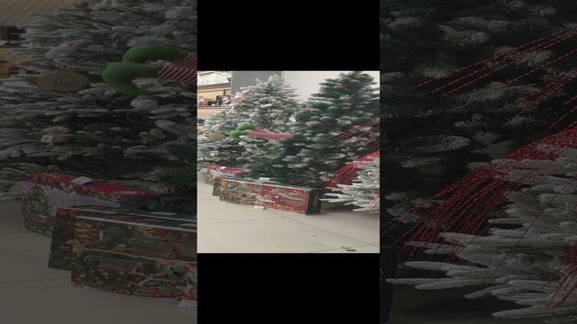 VID_20241224_153624.mp4
