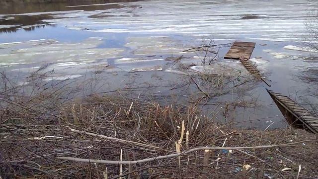 Аркуль, на берегу затона