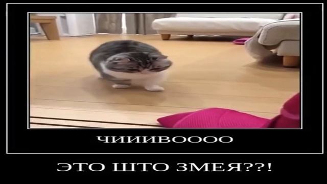 ммм бананчики…