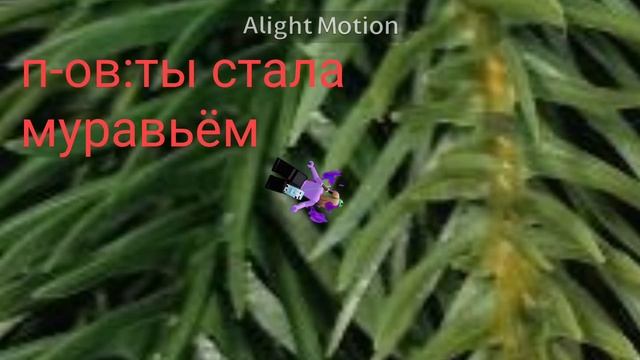 Уф ты стала муравьём