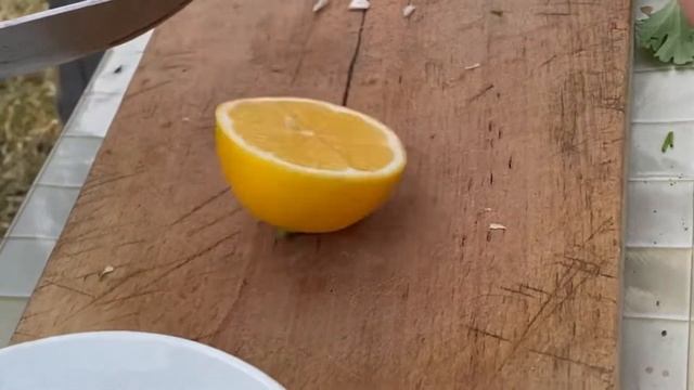 Готовим шашлык на костре