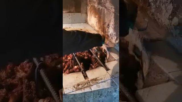 чайхона яккабог(1)