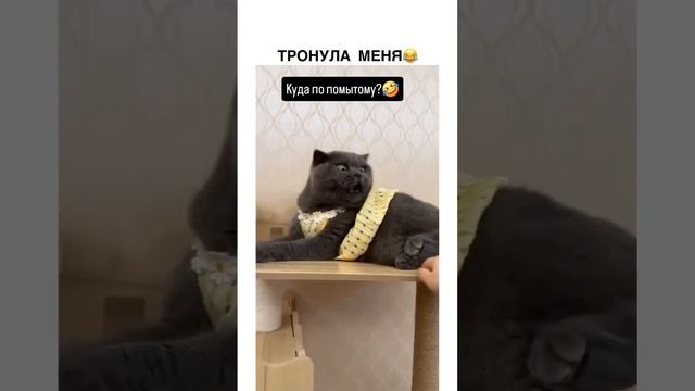 Куда по помытому -то?🤣