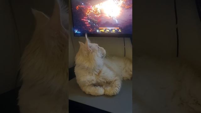 Зимний чек-лист Мейн Куна: №1 Наслаждаться видео-играми и любимыми сериалами ✓