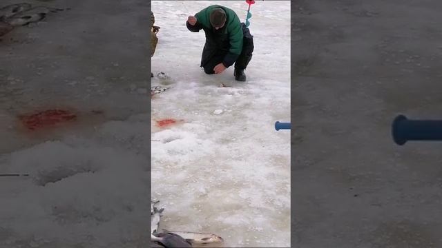 КРХ ТРИФОН