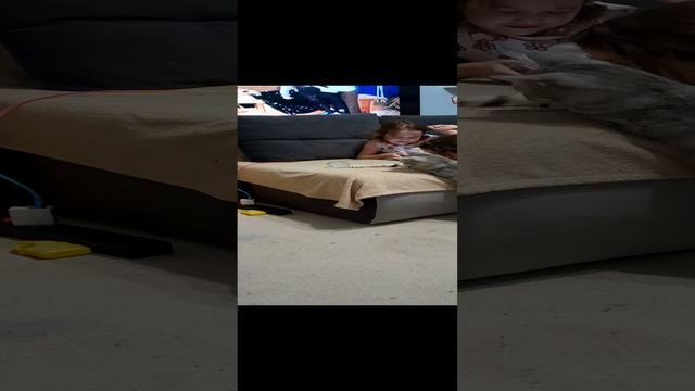 1000080334.mp4