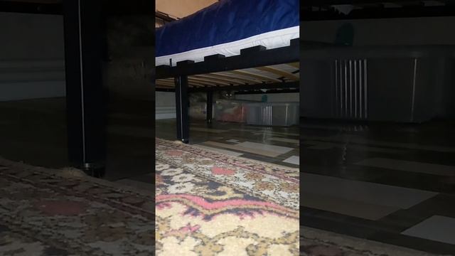 scene_output.mp4